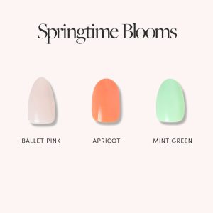 Springtime Blooms